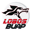 Lobos Buap Lobos Buap